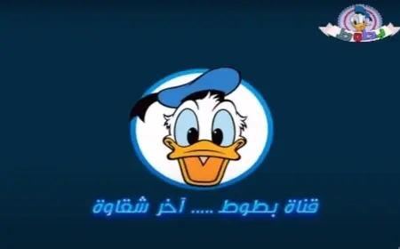 تردد قناة بطوط 2024 لمتابعة أجمل أفلام الكرتون