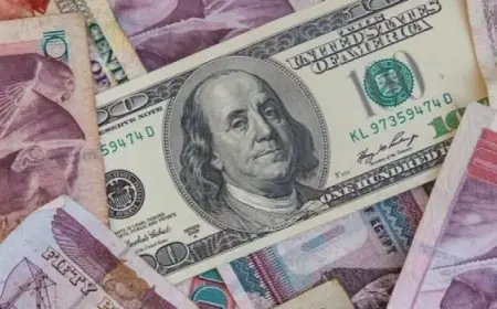 سعر الدولار اليوم في السوق السوداء اليوم الاثنين 24 يونيو 2024 ارتفاع اسعار الدولار في البنك