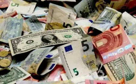 اجنبي وعربي.. أسعار العملات في السوق السوداء اليوم في مصر  مقابل الجنيه الأربعاء 7 أغسطس 2024