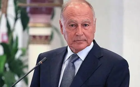 أبو الغيط يدعو إلى الاهتمام بالذكاء الاصطناعي في الاسواق المالية العربية