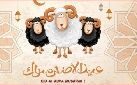 موعد عيد الأضحى 2024 وعدد أيام الاجازة للعيد مع باقة من اجل عبارات التهنئة بمناسبة العيد