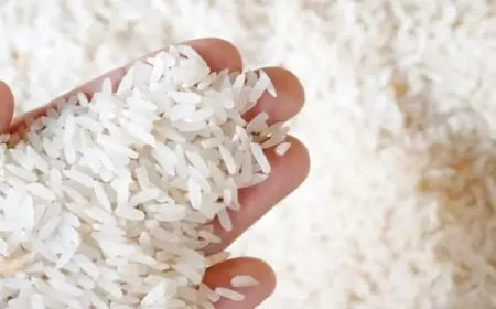 الأرز بكام .. اسعار الأرز اليوم في مصر الثلاثاء 30 أبريل 2024 في محلات العلافة والسوبر ماركت