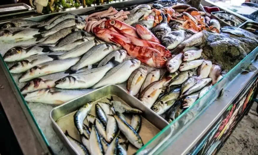 البلطى والبورى بسعر خيالي.. أسعار السمك اليوم في سوق العبور الخميس 4 يوليو 2024
