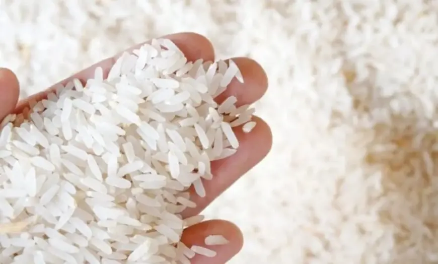 الأرز بكام .. اسعار الأرز اليوم في مصر الثلاثاء 30 أبريل 2024 في محلات العلافة والسوبر ماركت