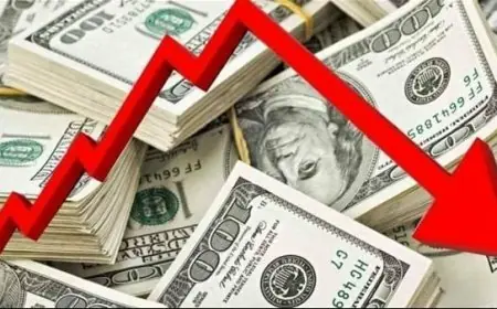 تحليل بالعامية .. توقعات سعر الدولار مقابل الجنيه المصري لشهر مايو وتأثيره على الاسعار في الشارع المصري