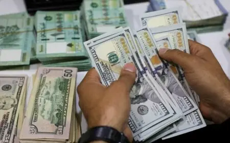 زاد 11 قرش .. سعر الدولار مقابل الجنيه المصري في السوق السوداء اليوم الخميس 2 مايو 2024