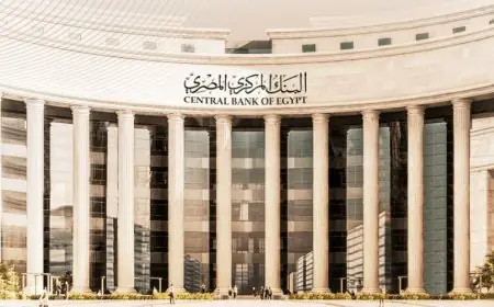 انخفاض التضخم السنوي إلى 31.8% في أبريل وفقًا للبنك المركزي المصري