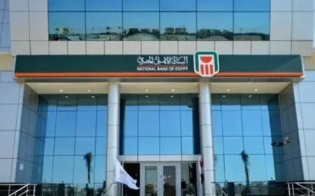 شهادات البنك الاهلي المصري الجديدة 2024 عوائد الشهادة البلاتينية تصل الى 30%