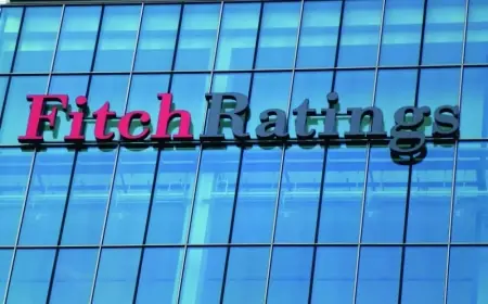 وكالة فيتش ترفع تصنيفها لمصر إلى إيجابي
