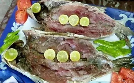 اسعار الفسيخ والرنجة في عيد شم النسيم 2024 واهم النصائح قبل الشراء