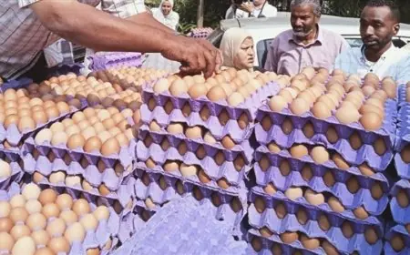 اسعار البيض اليوم في مصر الاثنين 6 مايو 2024 سعر الكرتونة في عيد شم النسيم