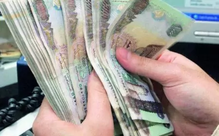 سعر الدرهم الاماراتي اليوم في السوق السوداء والبنوك مقابل الجنية المصري