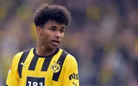 كريم أديمي اللاعب الواعد في دورتموند .. ماهي اصوله