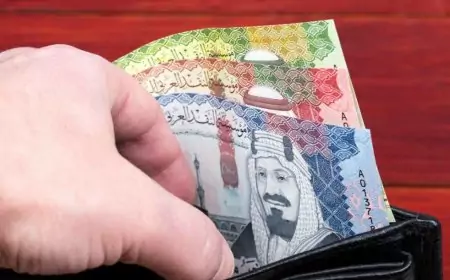 سعر الريال السعودي اليوم مقابل الجنية المصري في البنوك والسوق السوداء الاربعاء 8 مايو 2024