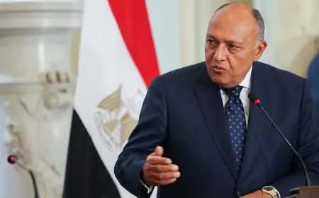 بلينكن يناقش مع وزير الخارجية المصري جهود منع انتشار الصراع في غزة