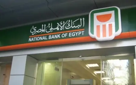 فرصة ذهبية .. شهادات البنك الاهلي المصري الجديدة 2024 اعلى عائد في مصر يصل الى 30%