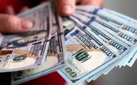 سعر الدولار اليوم مصر في السوق السوداء لحظة بلحظة مقابل الجنيه المصري في البنك