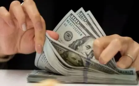 سعر الدولار الامريكي اليوم مقابل الجنيه المصري في السوق السوداء وداخل البنوك المصرية