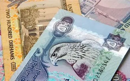 سعر الدرهم الإماراتي مقابل الجنيه المصري في البنوك والسوق السوداء اليوم الاحد 26 مايو 2024