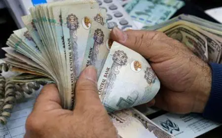 سعر الدرهم الاماراتي اليوم في السوق السوداء وداخل البنوك مقابل الدنيه المصري الاثنين 5 اغسطس 2024