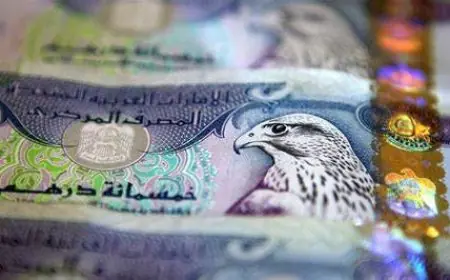 سعر الدرهم الإماراتي في السوق السوداء مقابل الجنيه المصري في البنوك اليوم الثلاثاء 6 اغسطس 2024
