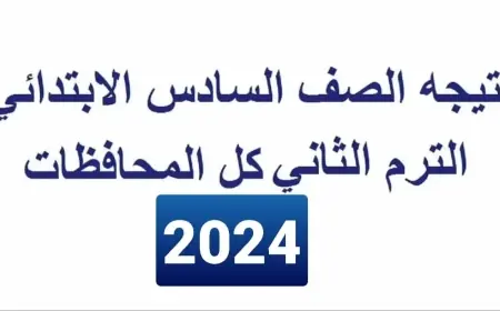 نتيجة الصف السادس الابتدائي 2024 بالاسم ورقم الجلوس البوابة الالكترونية لمحافظة القاهرة