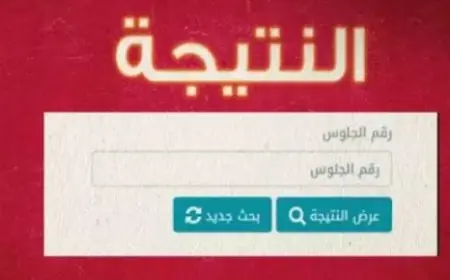 2 ابتدائي.. نتيجة الصف الثاني الابتدائي 2025 الترم الثاني بجميع المحافظات وطريقة الاستعلام بالاسم