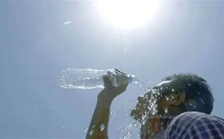 تحذيرات ونصائح من الأرصاد الجوية لمواجهة حالة الطقس والموجة الحارة الشديدة في مصر