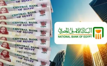 50 ألف في البنك في 2024.. تعرف على الفوايد الشهرية وأفضل شهادات الادخار اللي هتضاعف فلوسك