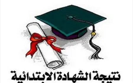 نتيجة الشهادة الابتدائية برقم الجلوس 2024 الصف السادس الابتدائي عبر بوابة التعليم الاساسي كل المحافظات