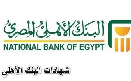 شهادات البنك الاهلي المصري 2024 الشهادة البلاتينية والعائد الثابت والعائد المتغير