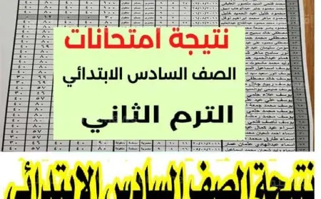 نتيجة الصف السادس الابتدائي بالرقم القومي الترم الثاني 2024 محافظة الجيزة موقع مديرية التربية والتعليم