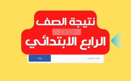 كل المحافظات .. نتيجة الصف الرابع الابتدائي برقم الجلوس والاسم او بالرقم القومي الترم الثاني 2024