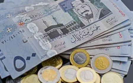 سعر الريال السعودي اليوم في السوق السوداء والبنوك مقابل الجنية المصري الاثنين 5 أغسطس 2024