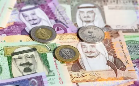 سعر الريال السعودي اليوم في البنوك والسوق السوداء مقابل الجنية المصري الاربعاء 19 يونيو 2024