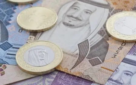 الأخضر بكام؟.. سعر الريال السعودى اليوم مقابل الجنيه المصري في البنوك وتعاملات السوق السوداء الخميس 26 ديسمبر 2024
