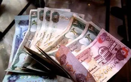 ارتفاع الاماراتي .. سعر الدرهم الإماراتي اليوم في السوق السوداء والبنوك الجمعة 7 يونيو 2024