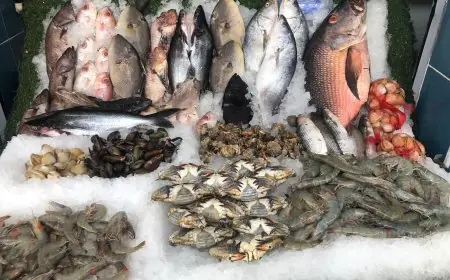 اسعار السمك اليوم البلطي في مصر الاثنين 1 يوليو 2024 سوق العبور للاسماك