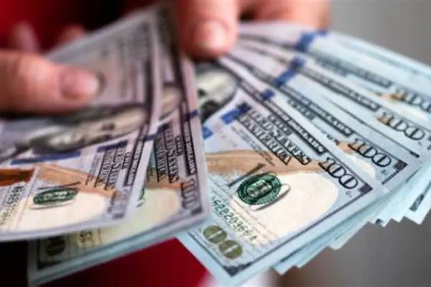 The value of the greenback immediately in Egypt on the black market, minute by minute, towards the Egyptian pound within the financial institution