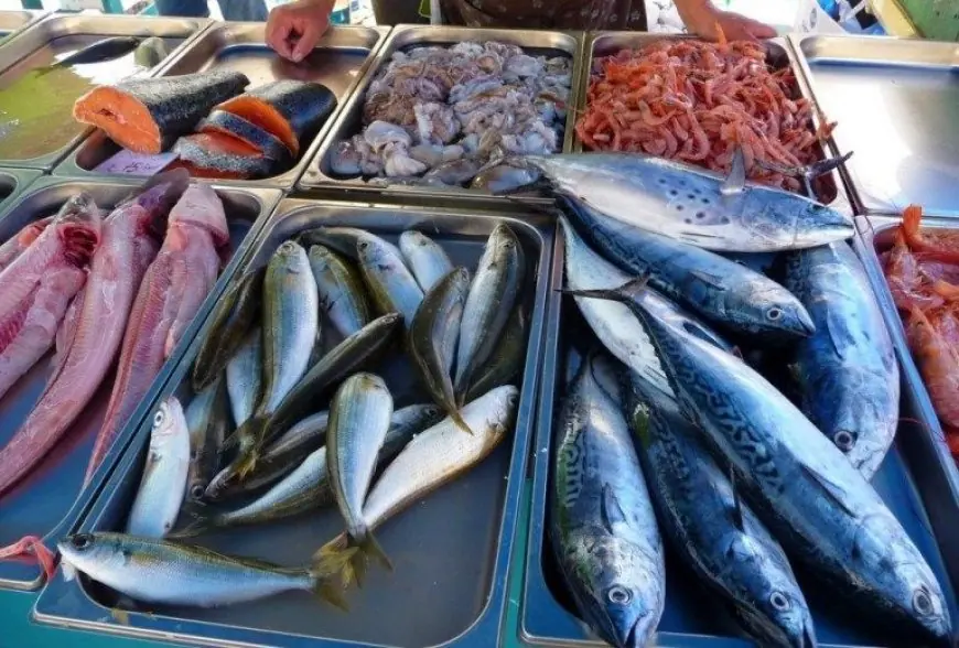 اسعار السمك اليوم في مصر الاثنين 13 مايو 2024 سعر سمك البلطي في المحلات