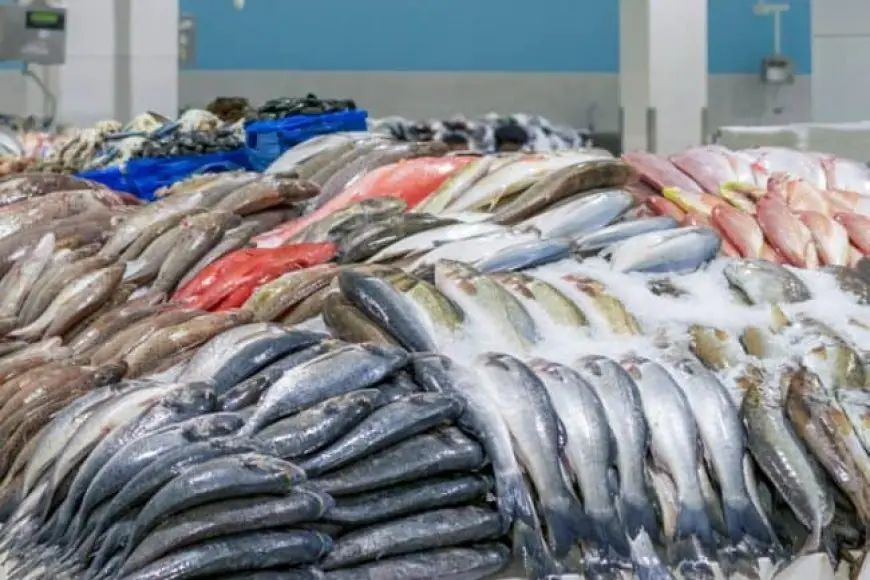 اسعار السمك اليوم البلطي في مصر الثلاثاء 14 مايو 2024 سوق العبور للاسماك واسعار المحلات