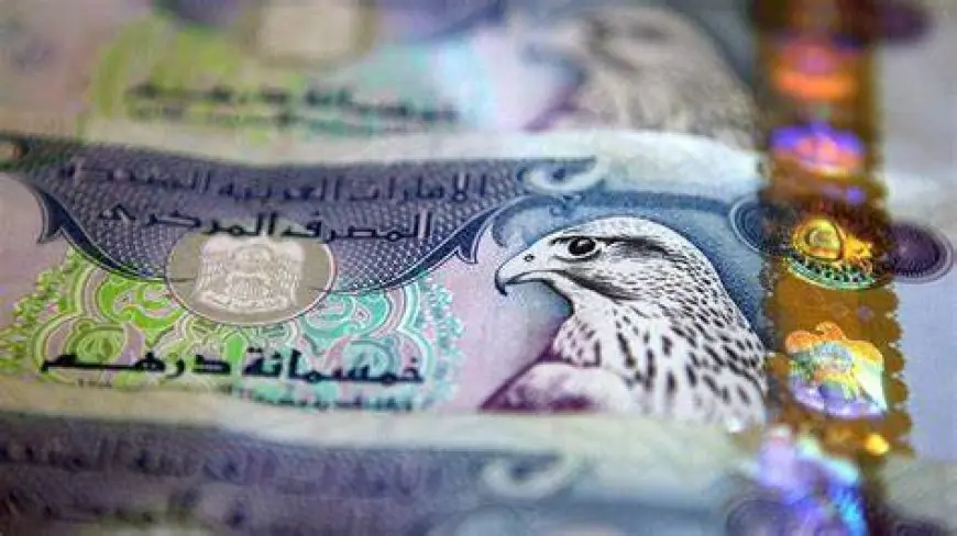 سعر الدرهم الإماراتي مقابل الجنيه المصري في البنوك والسوق السوداء اليوم الجمعة 31 مايو 2024