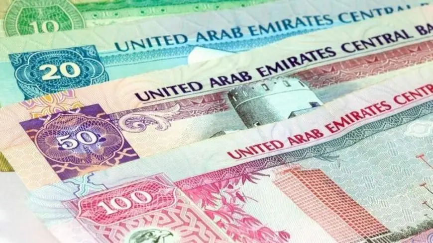 درهم إماراتي..  سعر الدرهم الإماراتي اليوم في السوق السوداء بتاريخ 9 يوليو 2024 وداخل البنوك المصرية