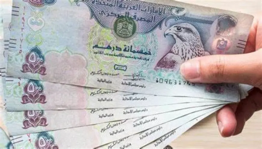 سعر الدرهم الاماراتي اليوم في السوق السوداء الاربعاء 3 يوليو 2024 امام الجنيه المصري وبعض البنوك