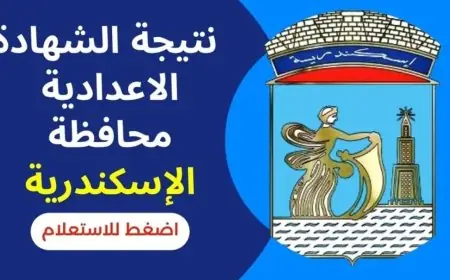 نتيجة الصف الثالث الإعدادي محافظة الاسكندرية برقم الجلوس 2024 البوابة الالكترونية للمحافظة