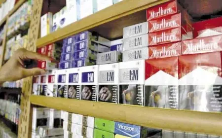 صحتك تهمنا .. اسعار السجائر الكليوباترا اليوم الثلاثاء 4 يونيو 2024 في المحلات