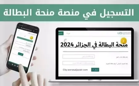 التسجيل في منحة البطالة 2024 في الجزائر وأبرز الشروط المطلوبة للقبول