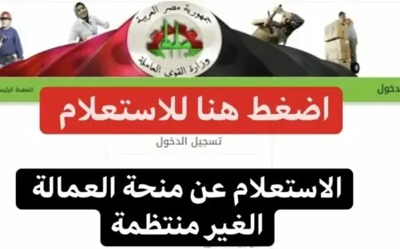 هتعيد معاك فلوس.. الاستعلام عن منحة العمالة الغير منتظمة 2024 بالرقم القومي عبر موقع وزارة القوى العاملة