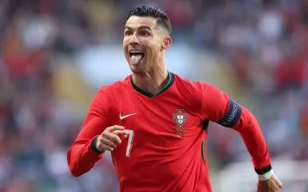 موعد مباراة منتخب البرتغال ضد التشيك اليوم في بطولة اليورو 2024 بداية قوية للبرتغال بقيادة كريستيانو رونالدو