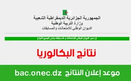 موعد نتائج بكالوريا الجزائر 2024 عبر موقع وزارة التربية الوطنية education.gov.dz